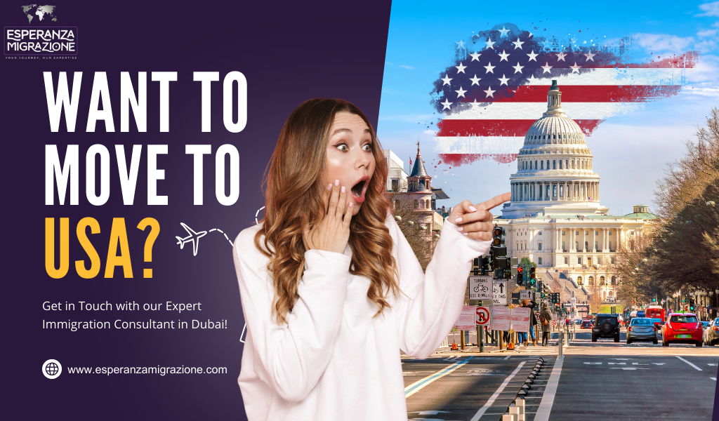 How are Immigration Trends Changing in the United States?